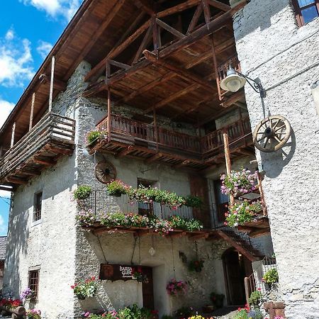 Agriturismo Barba Gust Чезана-Торинезе Экстерьер фото