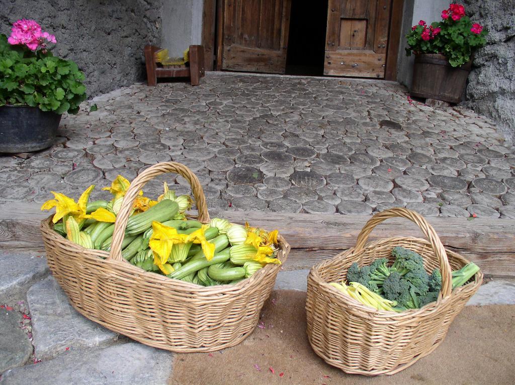 Agriturismo Barba Gust Чезана-Торинезе Экстерьер фото