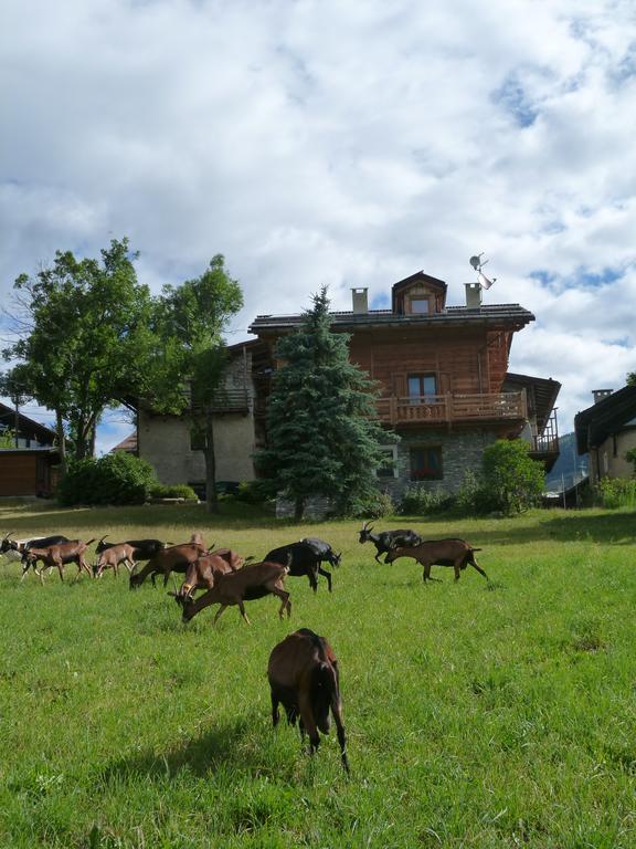 Agriturismo Barba Gust Чезана-Торинезе Экстерьер фото