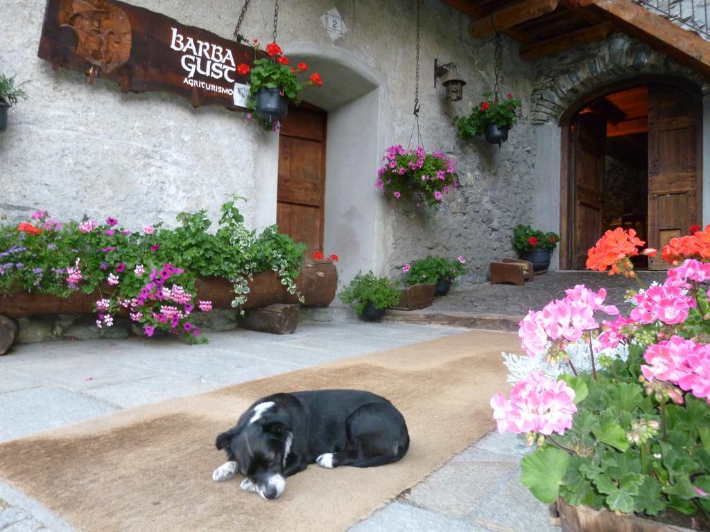 Agriturismo Barba Gust Чезана-Торинезе Экстерьер фото