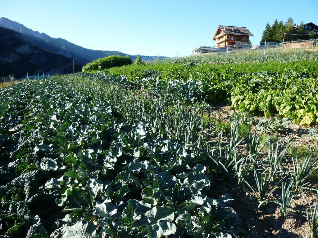Agriturismo Barba Gust Чезана-Торинезе Экстерьер фото