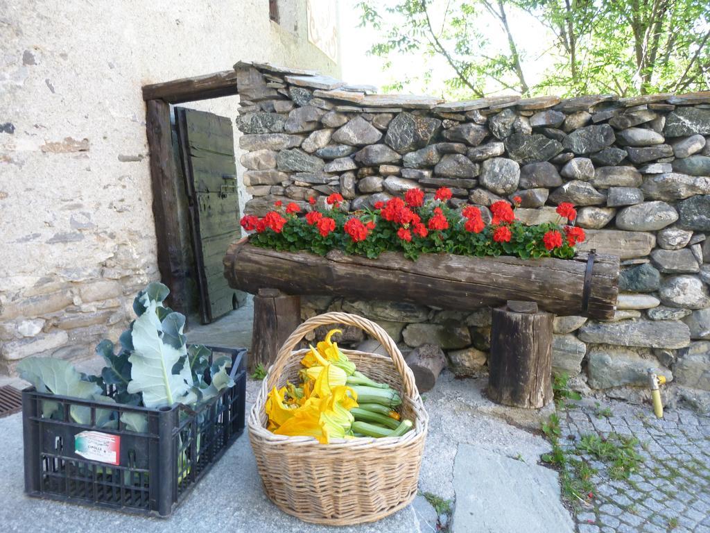 Agriturismo Barba Gust Чезана-Торинезе Экстерьер фото