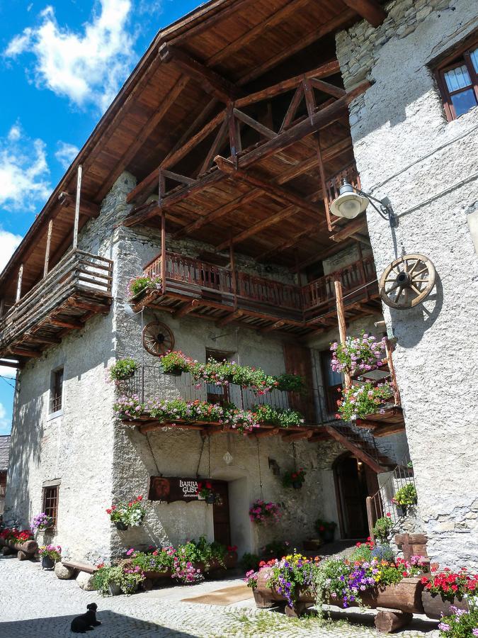 Agriturismo Barba Gust Чезана-Торинезе Экстерьер фото